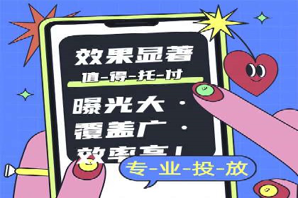 某知名企业SEM营销全案解析
